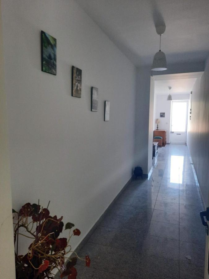 Casa Araci Hotel Виейра до Миньо Екстериор снимка