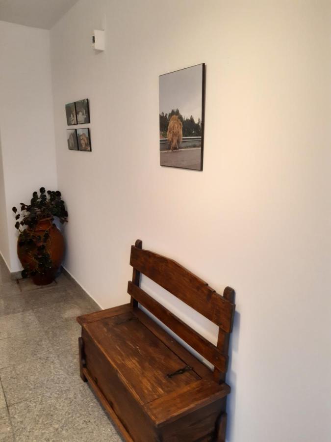 Casa Araci Hotel Виейра до Миньо Екстериор снимка